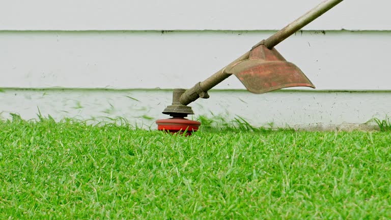 Reliable Elkhorn, WI Tree Services Solutions