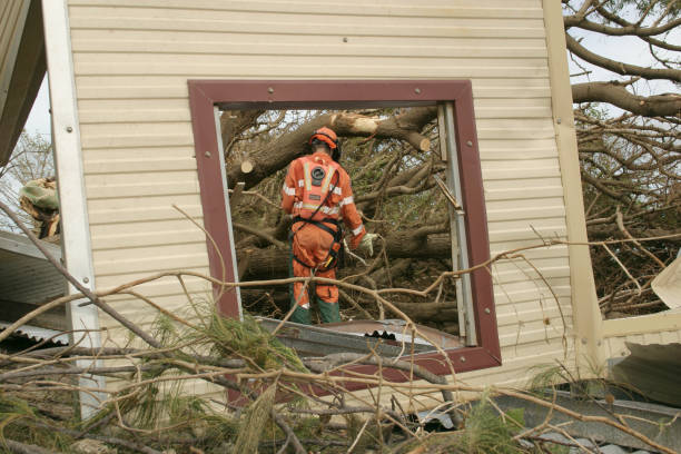 Best Tree and Shrub Care  in Elkhorn, WI