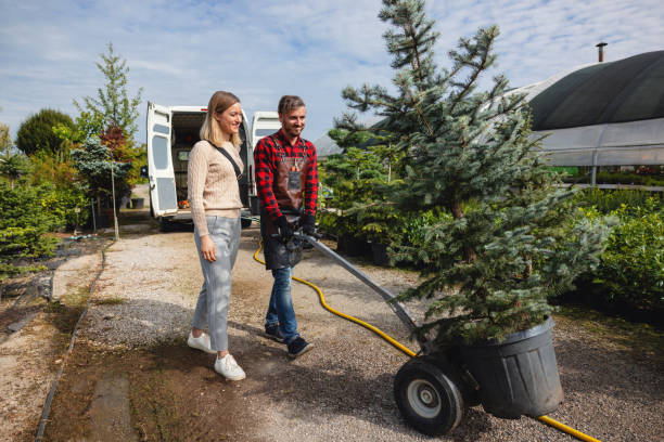 Tree and Shrub Care in Elkhorn, WI